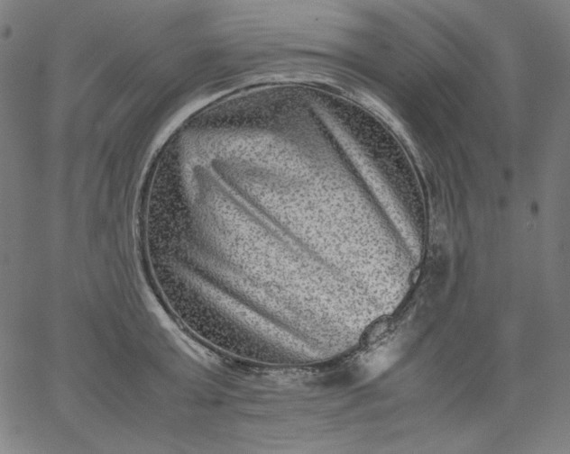 X0000067360803200604131815