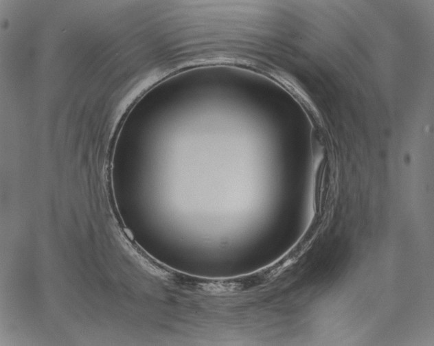 X0000067360805200604131815