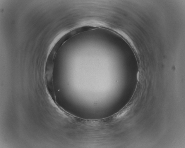 X0000067360815200604131815
