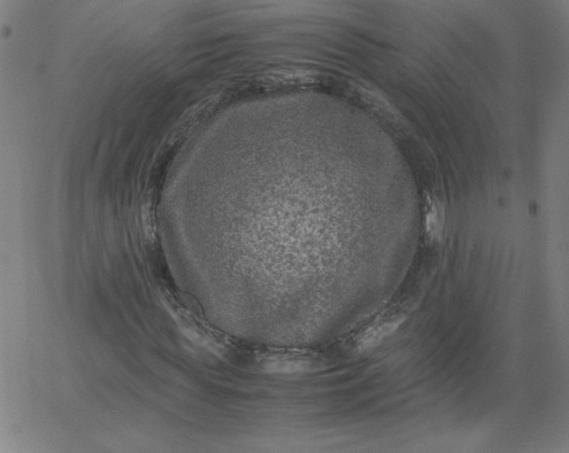 X0000067360819200604131814