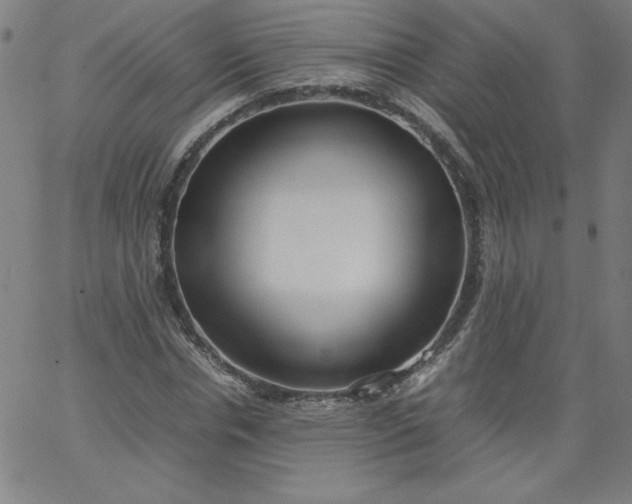 X0000067360826200604131814