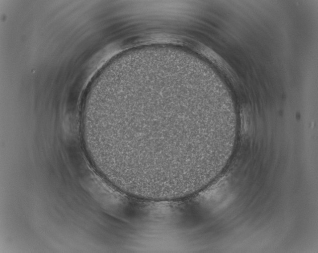 X0000067360828200604131814
