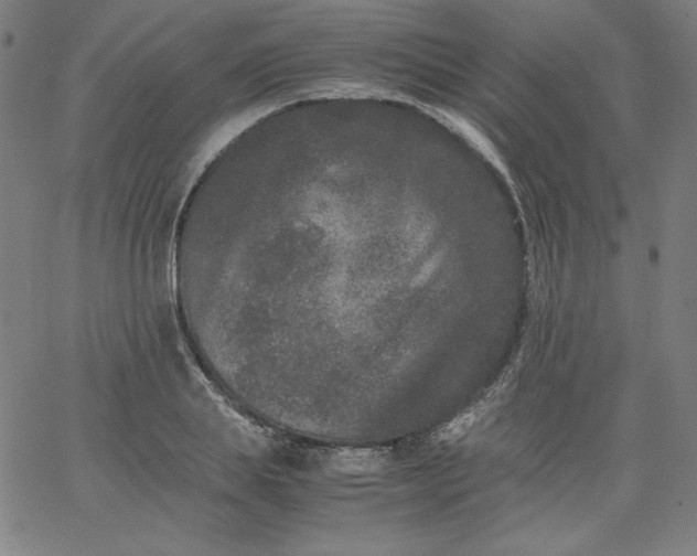 X0000067360839200604131814