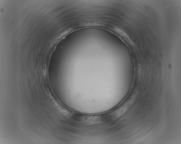 X0000067360841200604131814