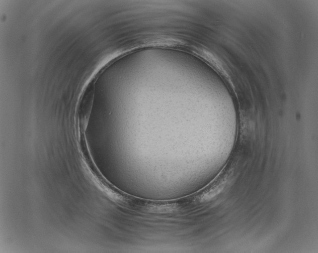 X0000067360843200604131814