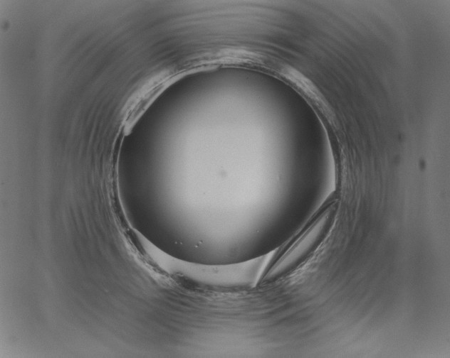 X0000067360850200604131814