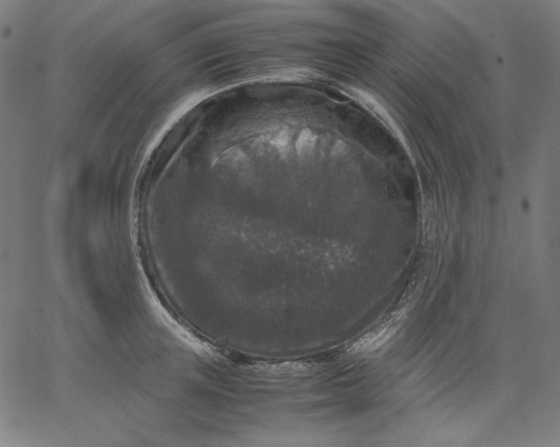 X0000067360851200604131814