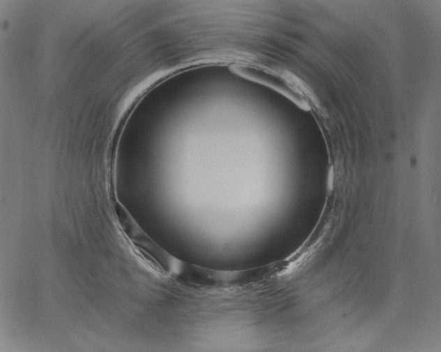 X0000067360854200604131814