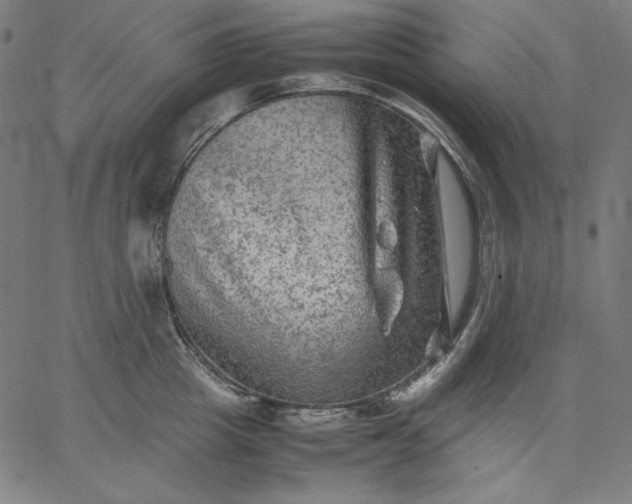 X0000067360857200604131814