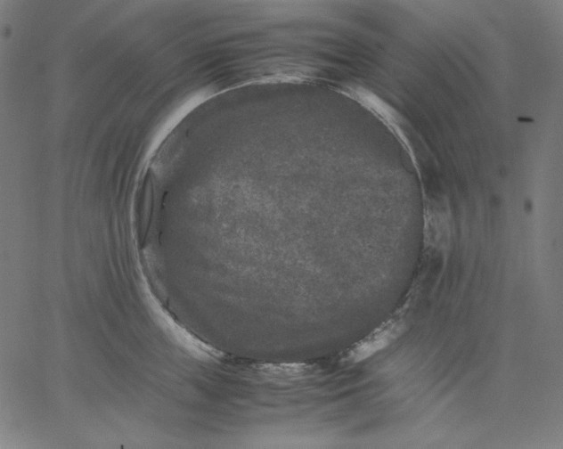 X0000067360859200604131814