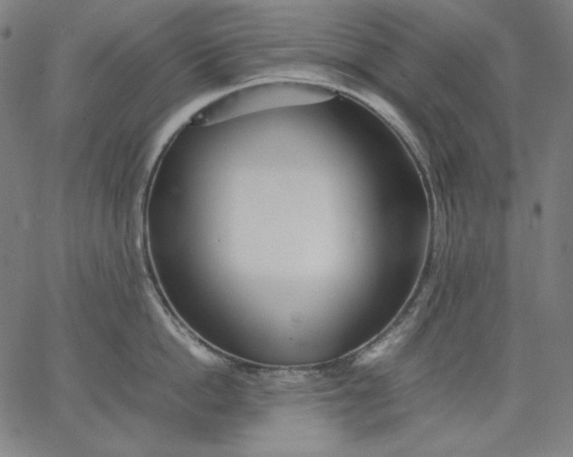X0000067360862200604131815