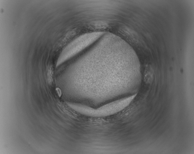 X0000067360866200604131814