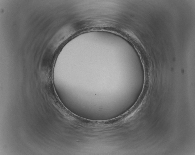 X0000067360873200604131814