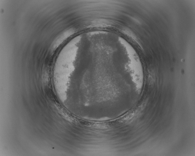 X0000067360874200604131814