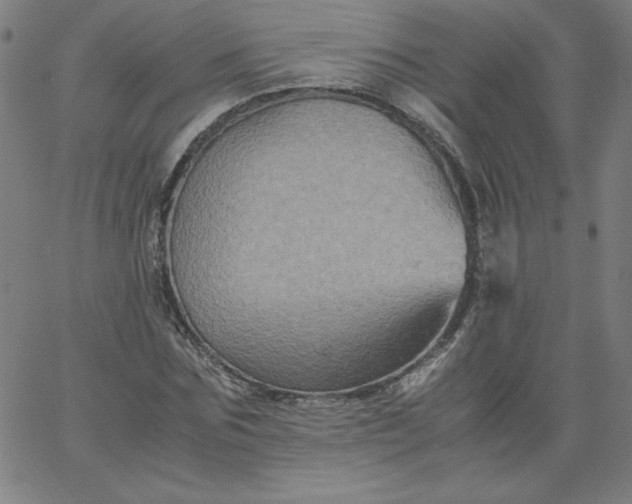 X0000067360875200604131814
