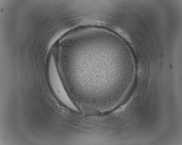 X0000067360877200604131814