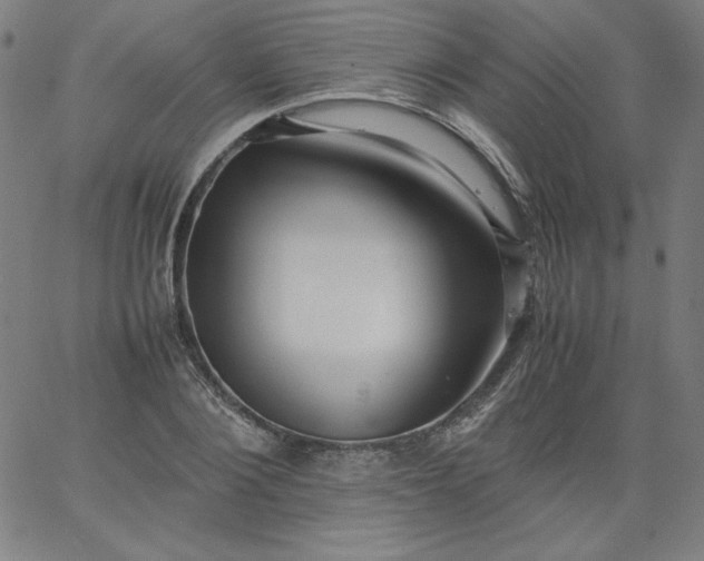 X0000067360884200604131813