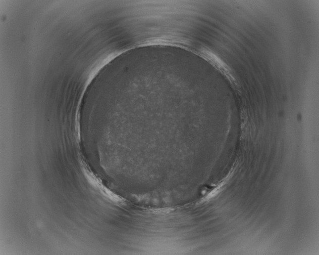 X0000067360892200604131813