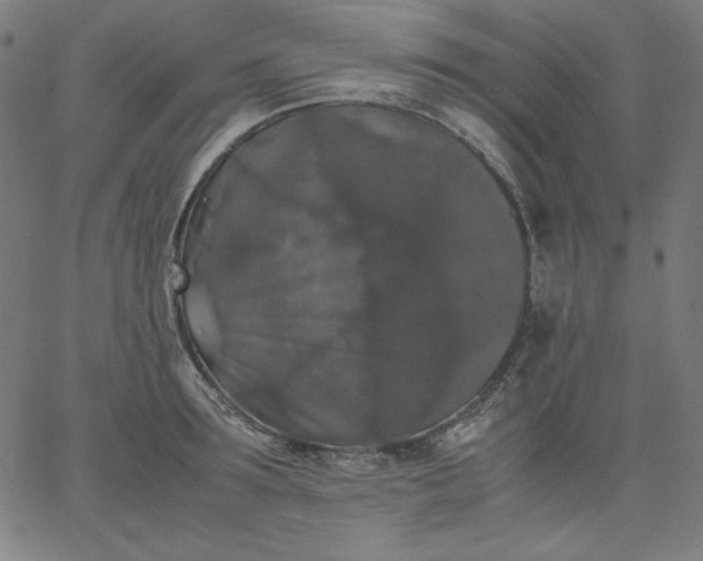 X0000067360899200604131813