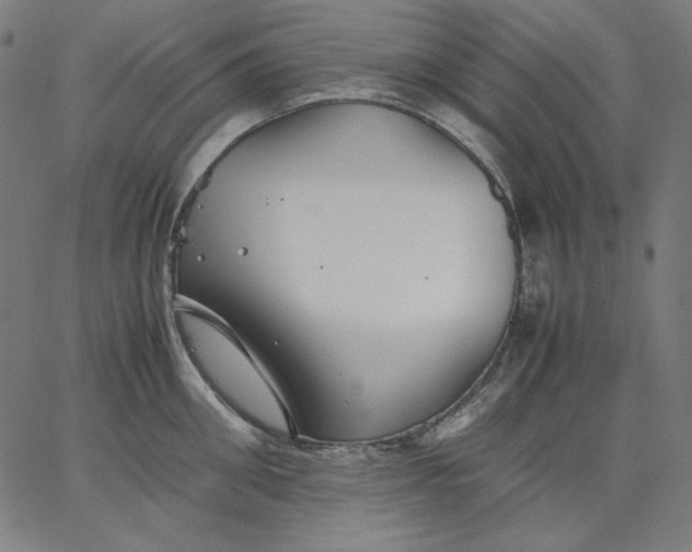 X0000067360906200604131813