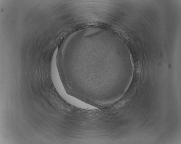 X0000067360916200604131812