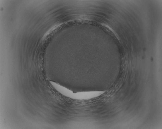 X0000067360919200604131812