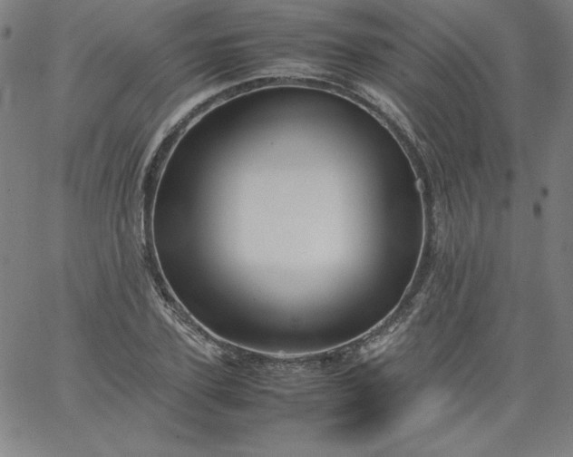 X0000067360931200604131813