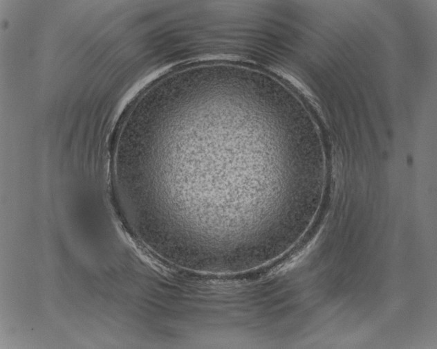 X0000067360933200604131813