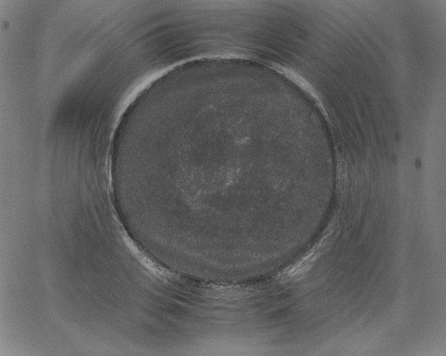 X0000067360935200604131813