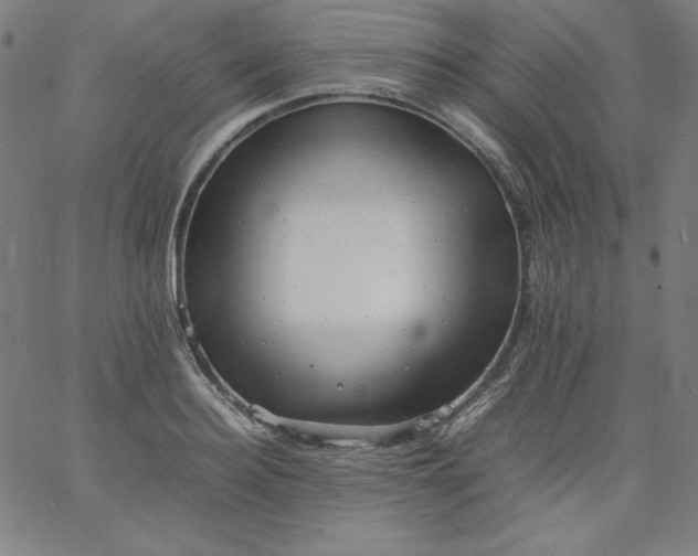 X0000067360940200604131813