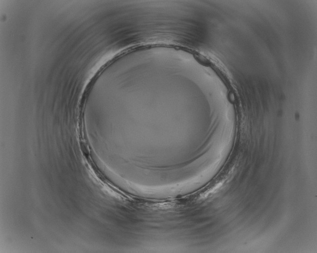 X0000067360941200604131813