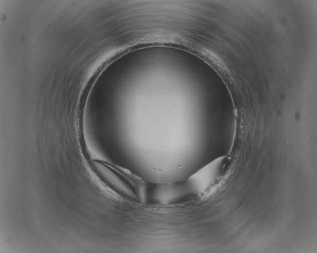 X0000067360942200604131813