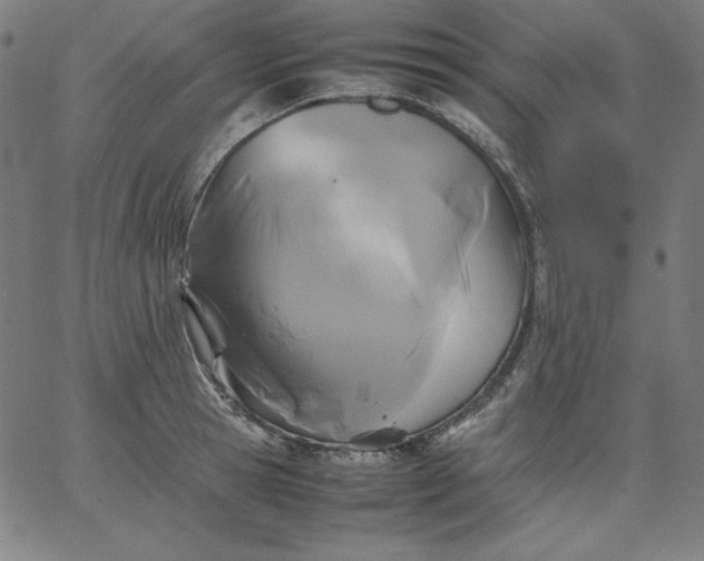 X0000067360945200604131813