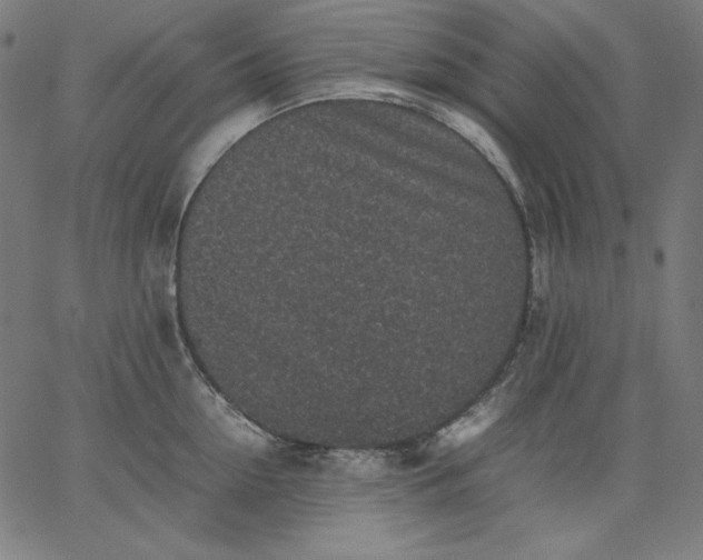 X0000067360954200604131813
