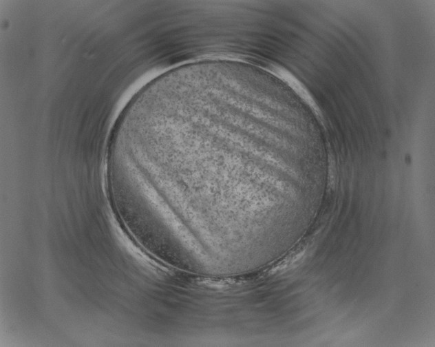 X0000067360955200604131813