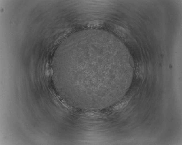 X0000067360962200604131812