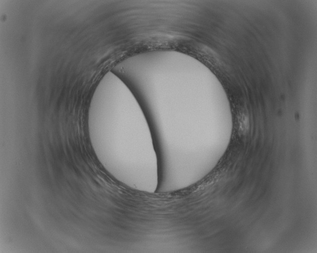 X0000067360964200604131812