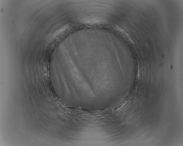 X0000067360966200604131812