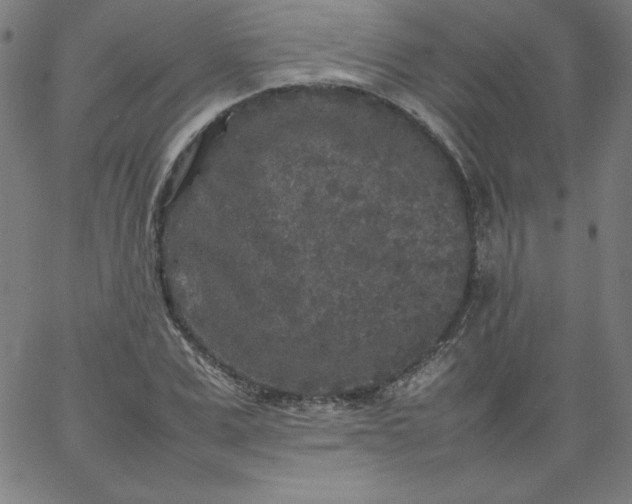 X0000067360975200604131812