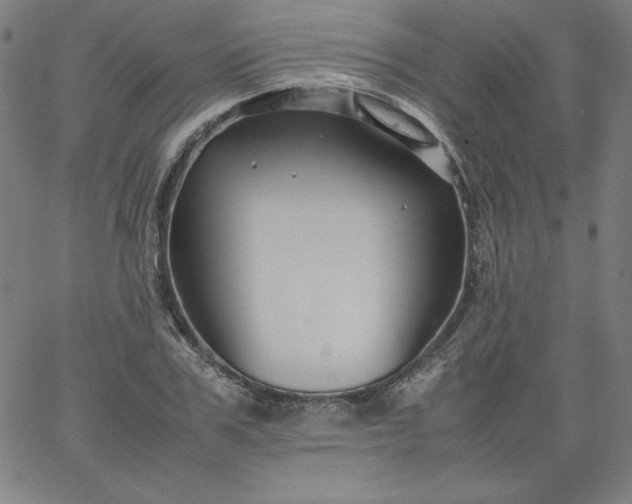 X0000067360979200604131812