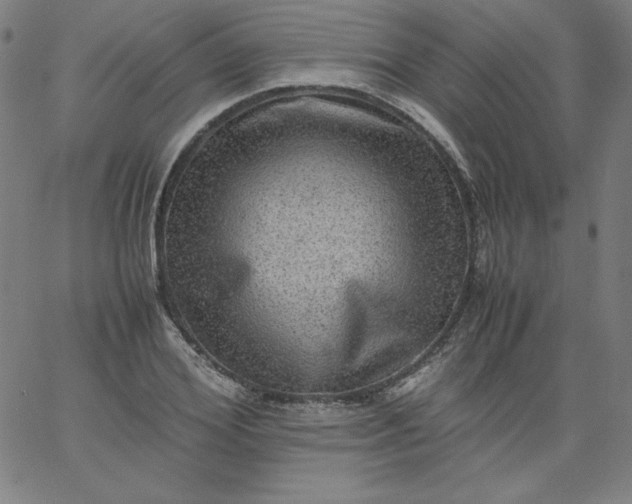 X0000067360980200604131812