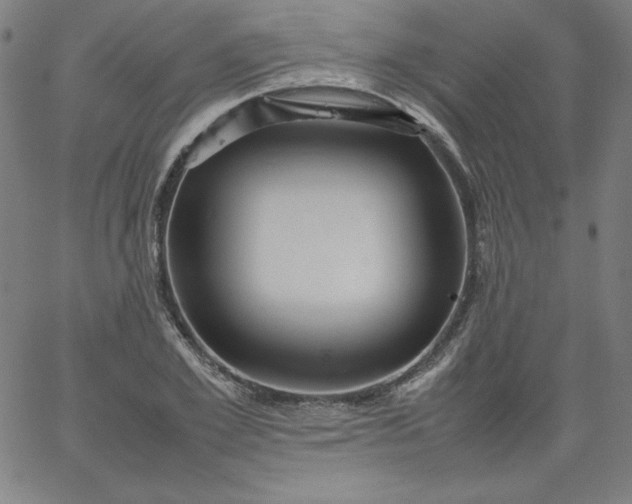 X0000067360981200604131812