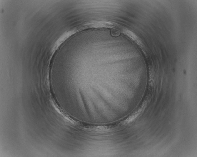 X0000067360986200604131812
