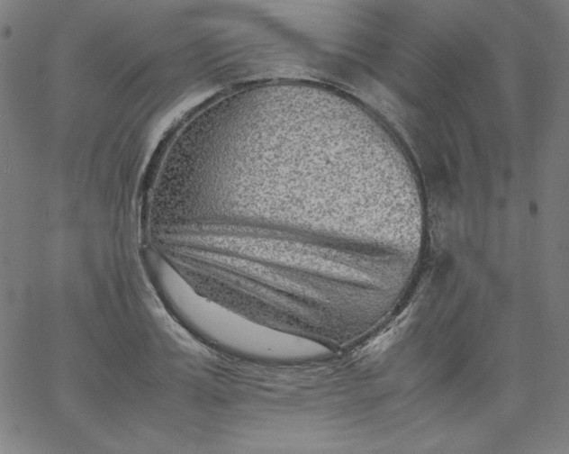 X0000067360987200604131812