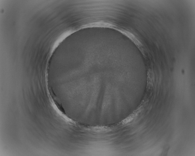X0000067360998200604131811