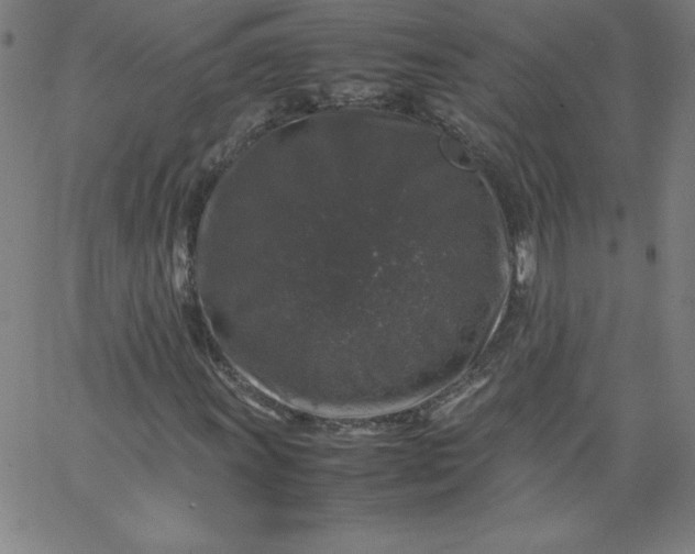 X0000067361011200604131811