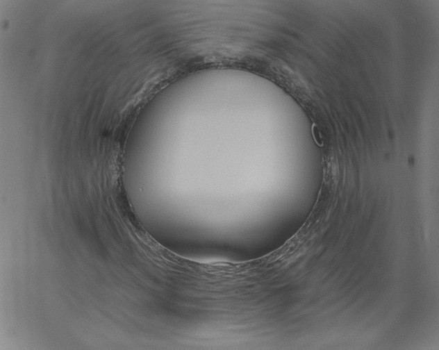 X0000067361012200604131811