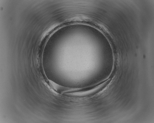 X0000067361018200604131811