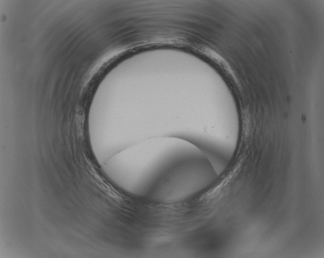 X0000067361019200604131811