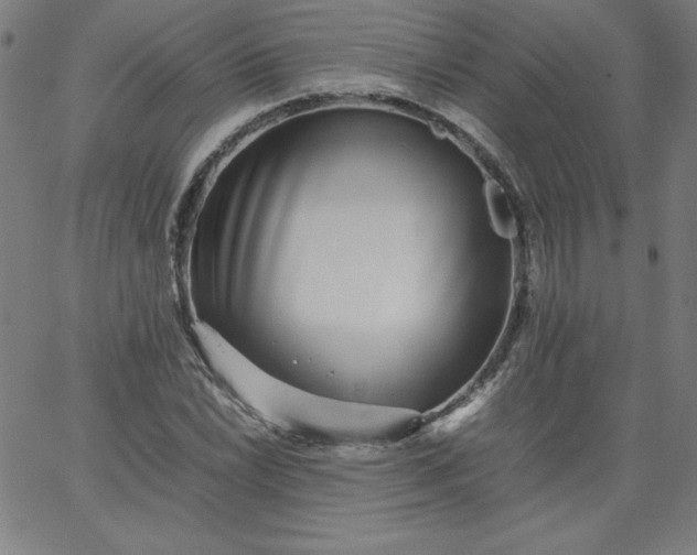 X0000067361022200604131811